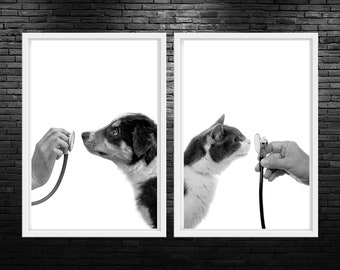 Cat And Dog Stethoscope Printable Wall Art Stethoscope Vet Med Wall Art Veterinary Clinic Decor Digital Wall Art Vet Office Decor Digital