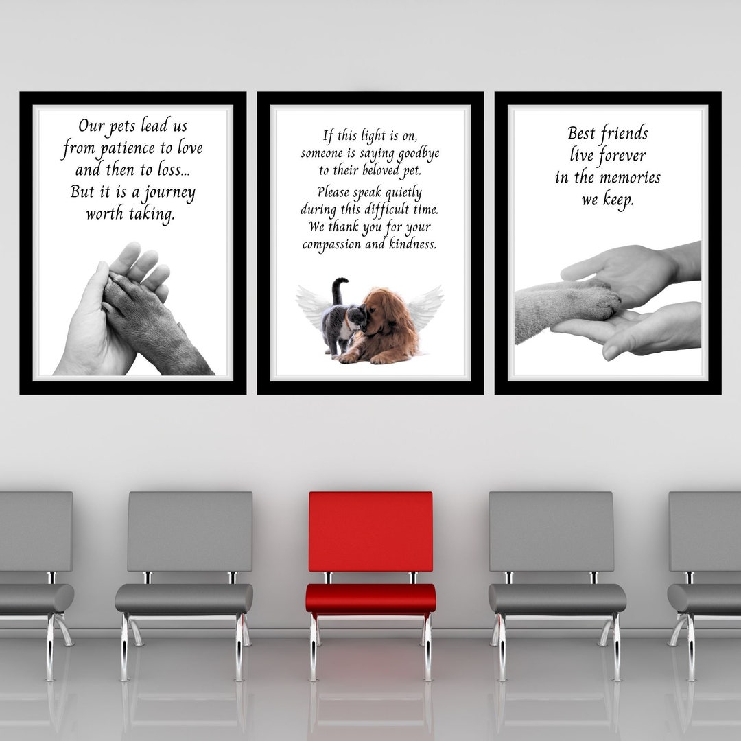 Euthanasia Vet Printable Wall Decor Euthanasia Notice Desk Sign Vet ...