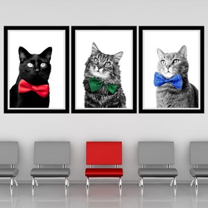 Cats In Ties Color Trio Printable Wall Art Cat Veterinary Clinic Wall Art Cat Veterinarian Office Decor Cat Vet Practice Poster Digital Art