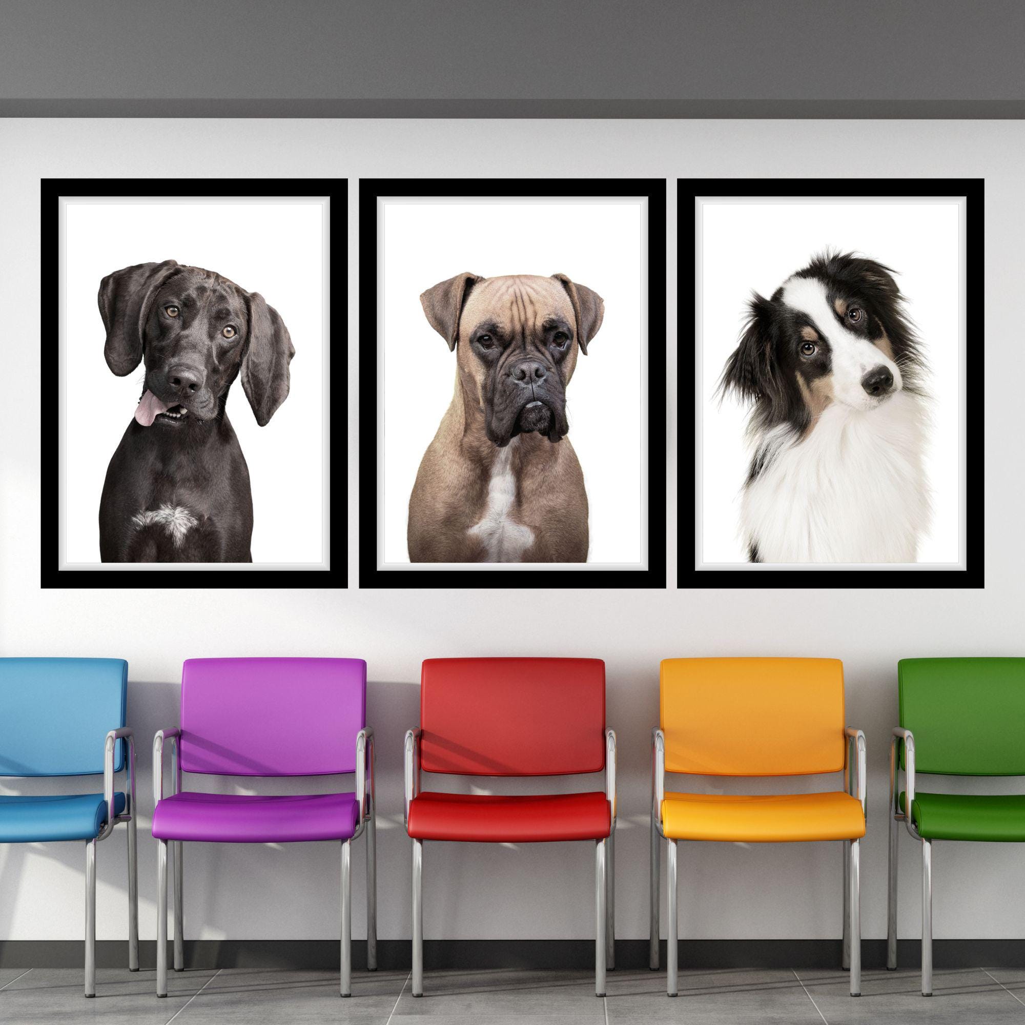 Trío de colores con mirada de perro, arte de pared imprimible