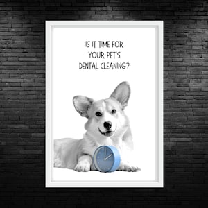 Vet Dental Cleaning Reminder Printable Wall Art Pet Dental Cleaning Reminder Poster Veterinary Clinic Dental Dog Print Veterinarian Office