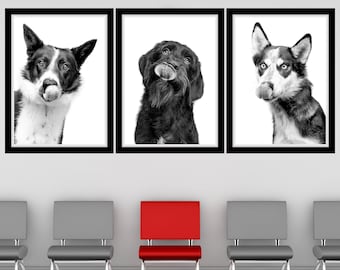 Funny Dog Lick Trio Printable Wall Art Dog Veterinary Clinic Wall Art Dog Vet Medicine Art Digital Veterinarian Office Decor Dog Vet Med Art