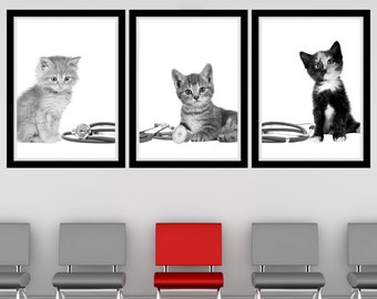 May include: Three black and white framed pictures of kittens with a stethoscope. The pictures are hanging on a white wall above a row of five chairs. The middle chair is red, and the other four chairs are gray.