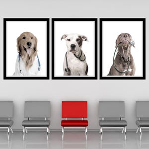 Doctor Dog Color Trio Printable Wall Art Dogs With Stethoscopes Color Print Veterinary Clinic Decor Doctor Dog Veterinarian Office Wall Art
