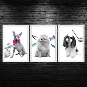 Dog Groomer Color Pop Trio Printable Wall Art Dog Grooming Salon Wall Art Dog Groomer Wall Art Dog Salon Wall Art Digital Spa Dog Print