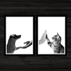 Apretón de manos de perro y gato imprimible pared arte veterinario oficina pared arte perro sacudir pared arte gato alto cinco arte veterinario clínica decoración oficina veterinaria