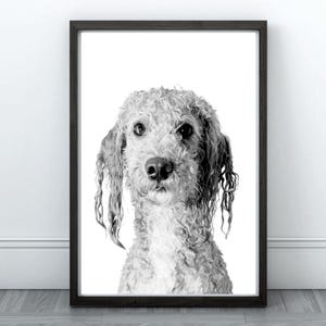 Doodle Bath Time Printable Wall Art Dog Grooming Salon Dog Portrait Wall Art Dog Groomer Decor Pet Grooming Salon Dog Print