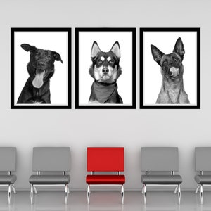 Hund Zungen Druckbare Wand Kunst Für Tierarzt Büro Wand Dekor Veterinär Klinik Dekor Lustiger Hund Hund Tierheilpraktikum Wand Kunst