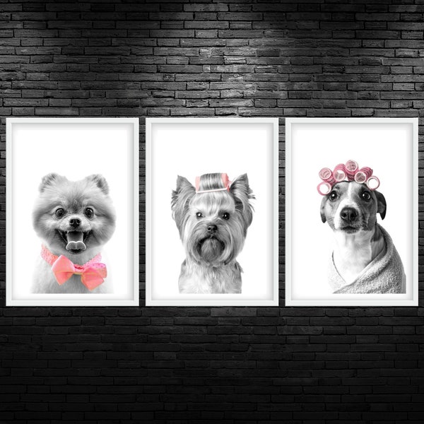 Funny Spa Dog Trio Printable Wall Art Dog In Curlers Wall Art Digital Dog Groomer Decor Salon Dogs Color Pop Wall Art Funny Vet Wall Art