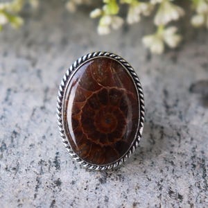 Ammonite Fossil Ring, 925 Sterling Silver, Handmade Ring, Oval Gemstone Ring, Designer Silver Ring, Unique Ring, Pretty Ring, Gifts For Love