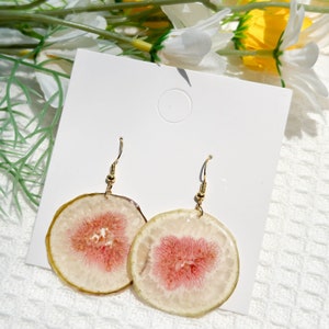 Real Resin Fig Fruit Earrings, Handmade Pressed Fig Resin Earring, Resin Fruit Dangle Drop Earring, Dired Fig Earring, Birthday Gift for her