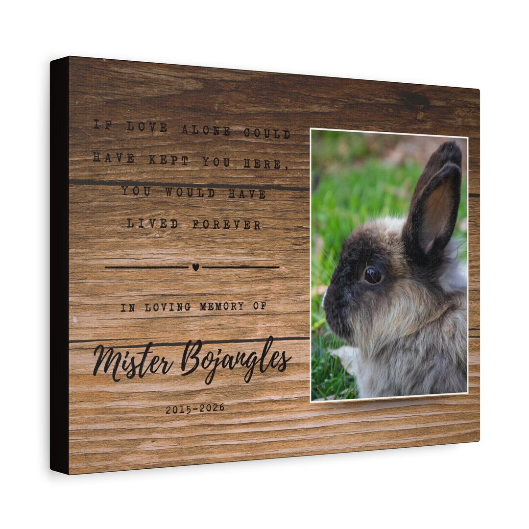 14 X 11" Bunny Rabbit Pet Memorial Photo Canvas, Matte Stretched Canvas ...