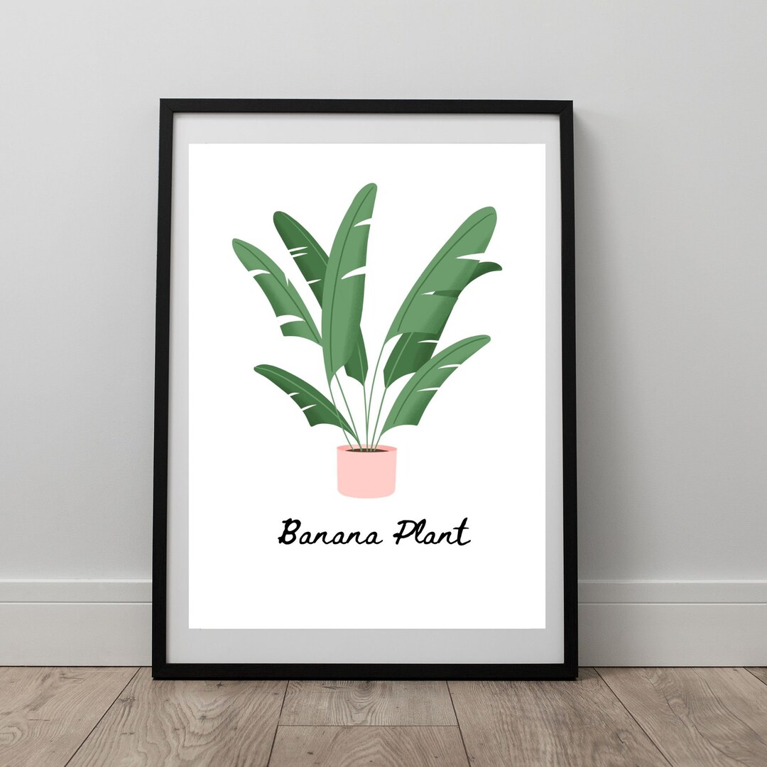 Green Plant Wall Art, Houseplant Drawing, Banana Plant Print for Office