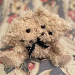 Sweetest 2 headed fluffy bear