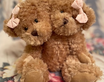 Darling little 2 headed bear