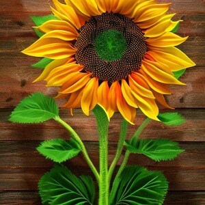 May include: A bright yellow sunflower with a dark brown center and green leaves against a brown wooden background.