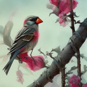 Cassin&#39;s Finch, similar to a Purple Finch or a house finch on a Branch