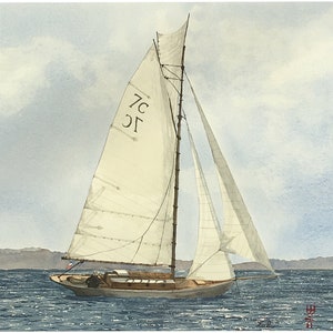 Sailboat Classic, sailboat Sanary, Auric cotre, Sailboat Lulu, Regatta Sail of Saint Tropez,Sailboat Wooden, Old sailboat