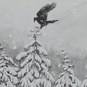 Crow, Jackdaw, Raven, Forest under the snow, Snowy mountain, Snow, Fir tree under the snow, snow landscape, fir tree, fir forest