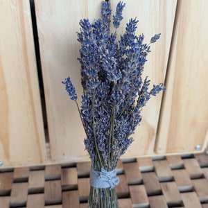 Lot de lavande séchée - plus de 50 tiges Big Time Blue, fraîches de la ferme, 6 à 10 po. de hauteur