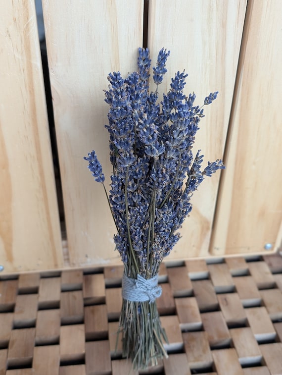 Dried Lavender Bundle - 50+ stems Big Time Blue, farm fresh, 6”-10” height