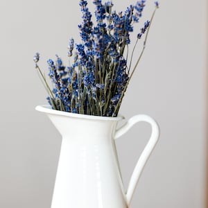 May include: A white ceramic pitcher filled with a bouquet of dried lavender flowers.