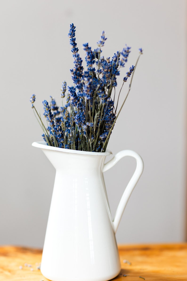 May include: A white ceramic pitcher filled with a bouquet of dried lavender flowers.