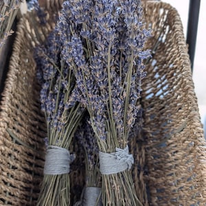 May include: Two bundles of dried lavender flowers tied with gray string, displayed in a woven wicker basket.