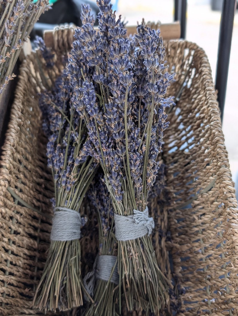 May include: Two bundles of dried lavender flowers tied with gray string, displayed in a woven wicker basket.