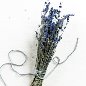 May include: A bunch of dried lavender flowers tied together with a light blue string on a white background.