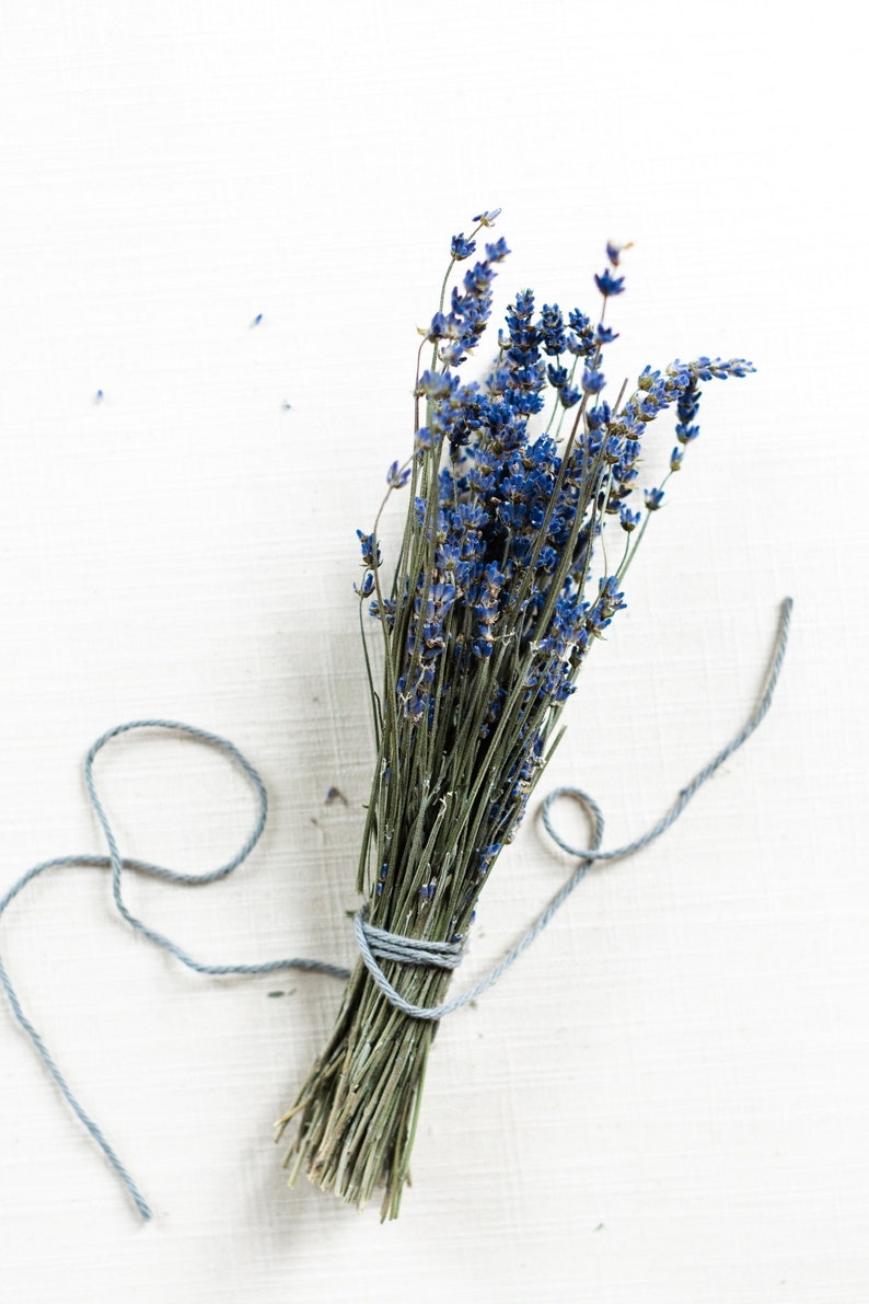 May include: A bunch of dried lavender flowers tied together with a light blue string on a white background.
