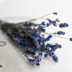 May include: A bunch of dried lavender flowers tied together with a gray string. The lavender is a light purple color and the stems are green.
