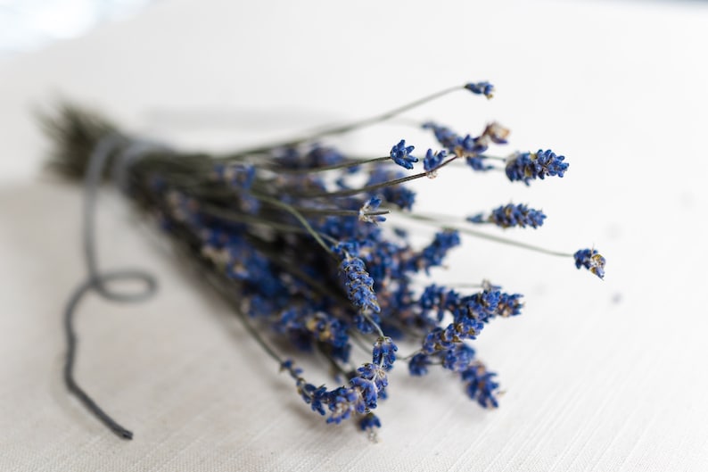 May include: A bunch of dried lavender flowers tied together with a gray string. The lavender is a light purple color and the stems are green.