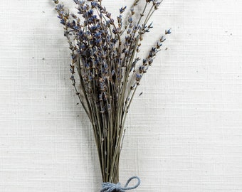 Lavender Bundle - 80+ stems Maillette 2023 Harvest, farm fresh, traditional French lavender, 12”-16” height