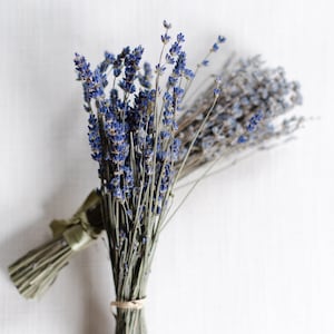 May include: A bunch of dried lavender flowers tied together with a brown string. The lavender is a light purple color and the stems are a light brown color.