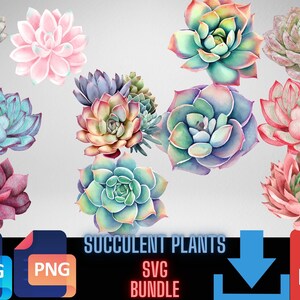 Watercolor Succulent Clipart Succulents Clipart Cactus Clipart Desert Agave PNG Aloe Clipart | PNG, Commercial Use, Instant Download
