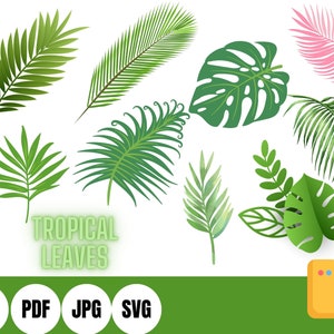 Tropical Leaves SVG Bundle, Monstera Leaf Svg, Jungle Leaves Clipart, Banana Leaf Svg, Palm Branch Svg, Cut File for Cricut and Silhouette