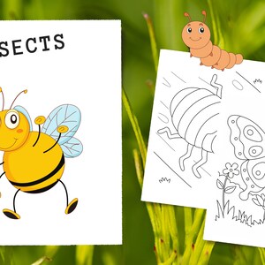 45 Insect and Butterfly Coloring Pages for Kids| Instant PDF Download