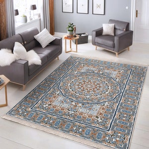 May include: A blue and brown patterned area rug with a large central medallion. The rug has a fringe border and is laid out on a light wood floor in a living room setting.