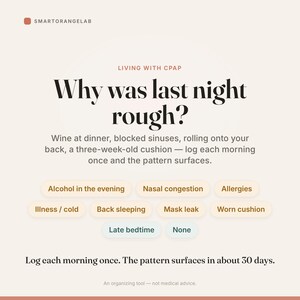 Sleep Apnea CPAP Tracker | Daily Energy Log (Excel/Sheets Download) image 2