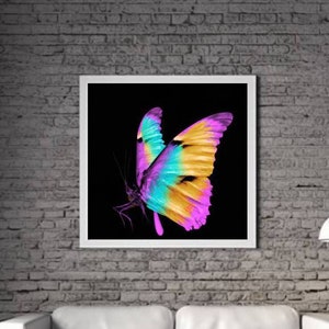 Modern Butterfly PRINTABLE ART Butterfly Print Download Poster Insect Life Gift Insect Wall Decor Painting Colorful One piece Poster