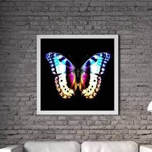 Modern Butterfly PRINTABLE ART Butterfly Print Download Poster Insect Life Gift Insect Wall Decor Painting Colorful One piece Poster