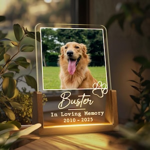 Pet Memorial Night Light, Custom Pet Plaque, Pet Night Light, Custom Pet Photo Gifts, Pet Memorial Frame, Gifts for Pets, Cat Dog Loss Gift