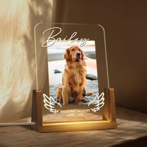 Pet Memorial Night Light, Custom Pet Plaque, Pet Night Light, Custom Pet Photo Gifts, Pet Memorial Frame, Gifts for Pets, Cat Dog Loss Gift