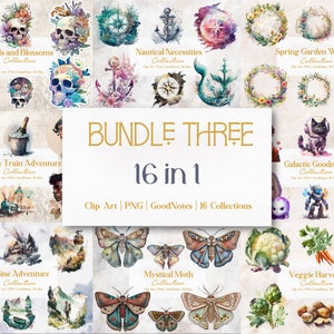 Könnte beinhalten: Ein digitales Illustrationspaket mit 16 Sammlungen, die Aquarell-Bilder von Schädeln, Blumen, nautischen Motiven, Frühlingskränzen, Zügen, Weltraum, Bergen, Motten, Gemüse und mehr zeigen. Der Text "Bundle Three 16 in 1" wird in der Mitte des Bildes angezeigt.