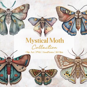 Könnte beinhalten: Eine Sammlung von 6 illustrierten Motten mit aufwendigen Details. Die Motten sind in verschiedenen Farben, darunter Braun, Blau, Grün und Orange. Die Motten sind vor einem hellgrauen Hintergrund mit dem Text "Mystical Moth Collection" und "Clip Art | PNG | GoodNotes | 14 Files" platziert.