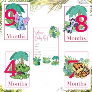 Cartes d'étapes pour bébé fille à imprimer, Cartes d'étapes mensuelles souvenirs, Cartes photo pour bébé pour la première année de vie, Téléchargement instantané