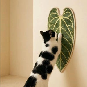 Puede incluir: Un rascador de pared para gatos con forma de hoja grande en forma de corazón. La superficie presenta un material de sisal verde oscuro texturizado con patrones de venas verde claro y un borde trenzado grueso de color claro en el contorno.