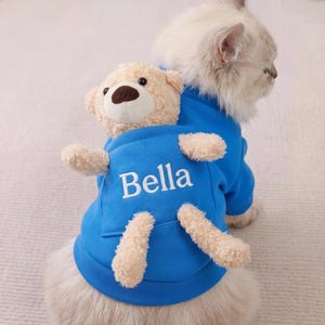 Pode incluir: Um moletom azul brilhante para animais de estimação com um urso de pelúcia bege preso nas costas. O moletom tem o nome Bella bordado em letras maiúsculas brancas no centro. A peça é usada por um gato felpudo de pelo longo e claro.