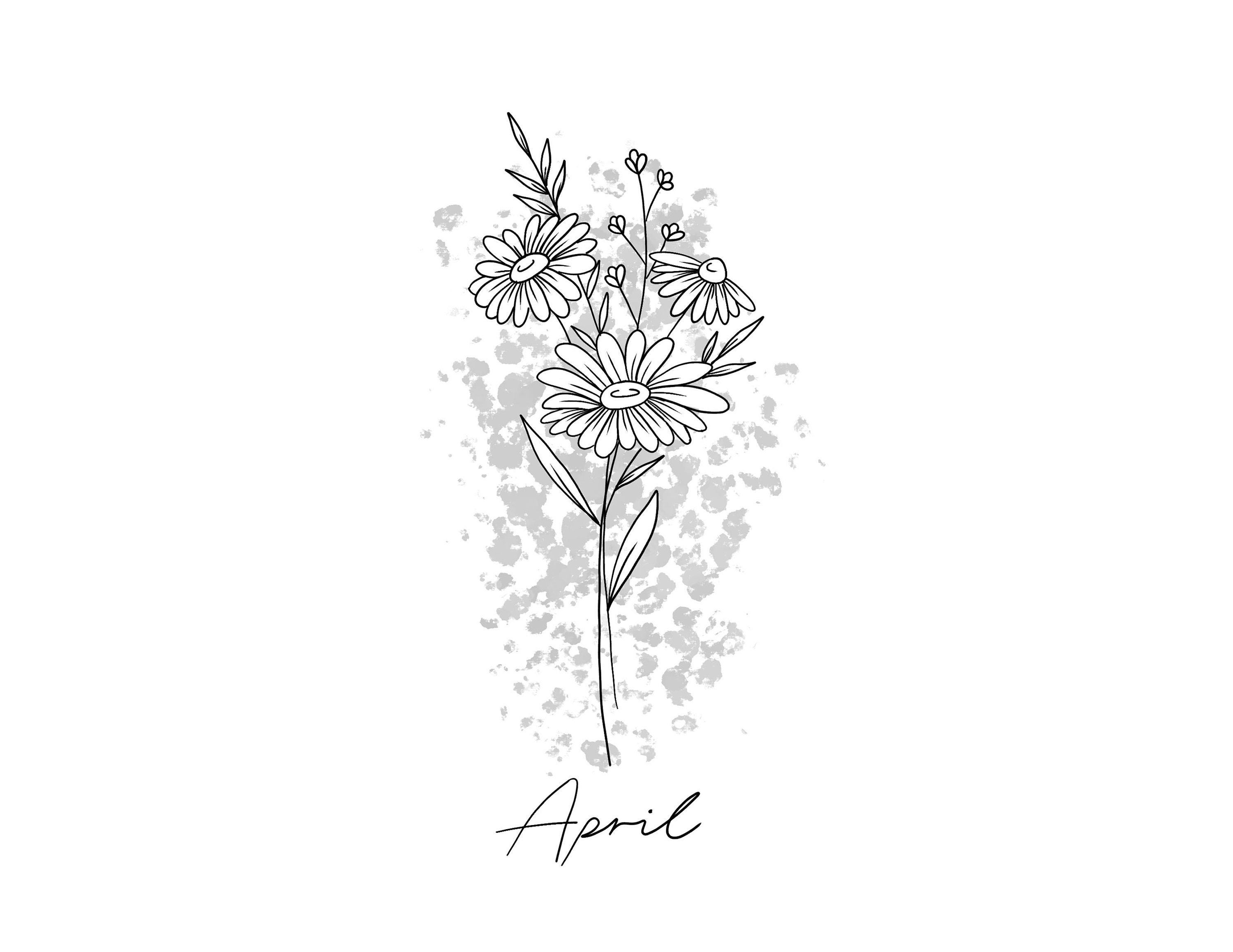 April Birth Flower Illustration. Unique, Hand Drawn Flower Illustration ...